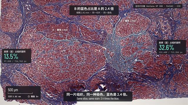 显微叙事 Microscope Story